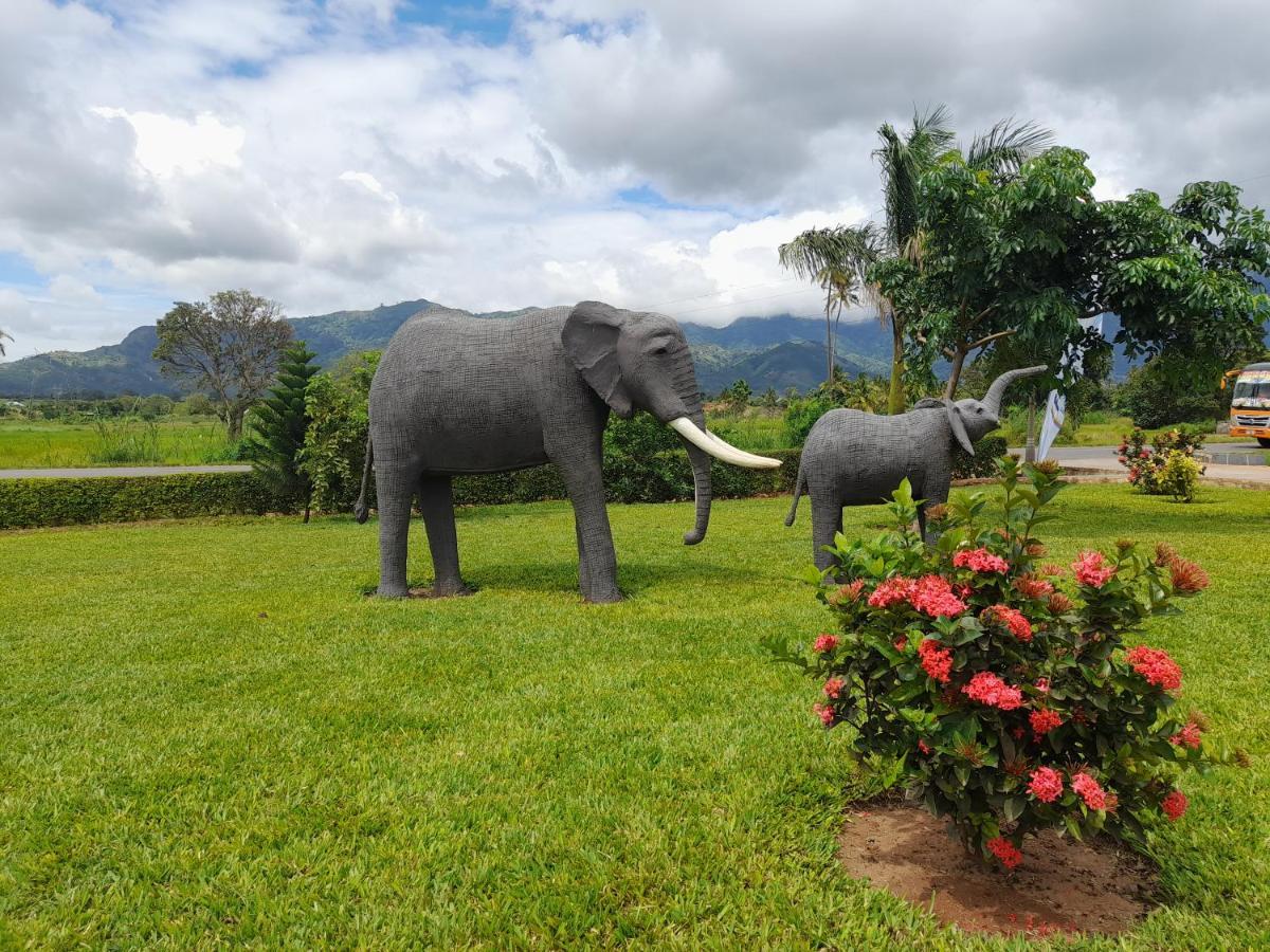 Cate Hotel Morogoro Zewnętrze zdjęcie